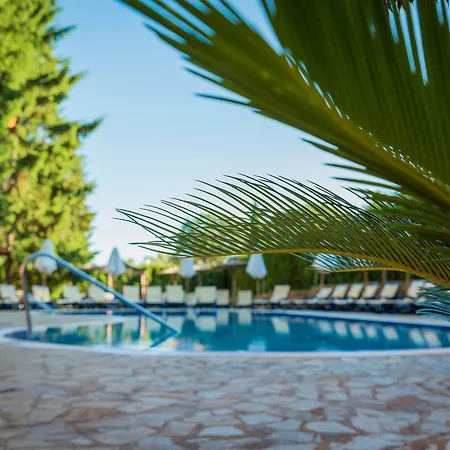 Hotel Sunrise Golden Sands